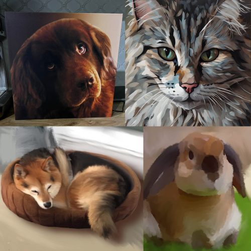 Pet Portrait